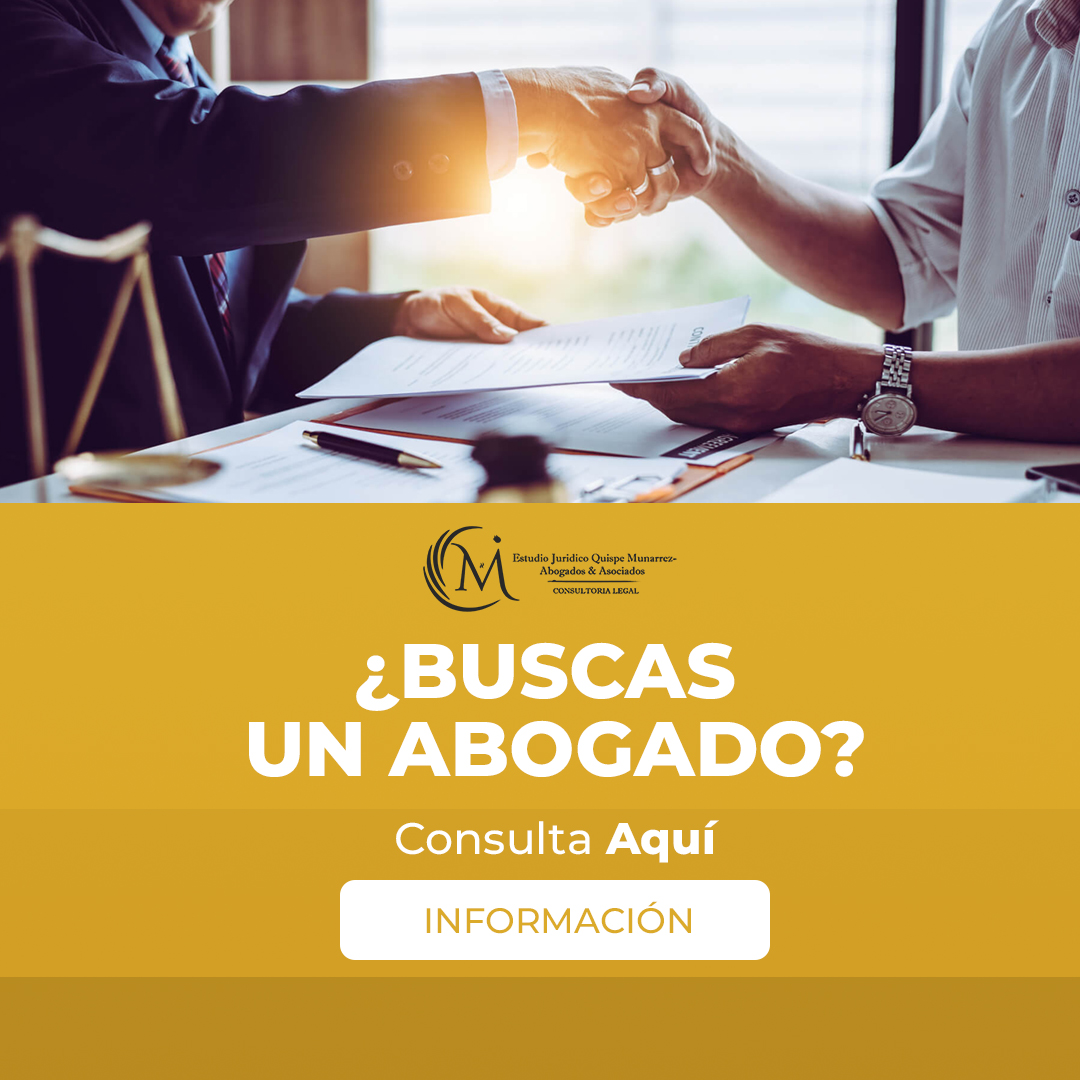 Descripción de la imagen